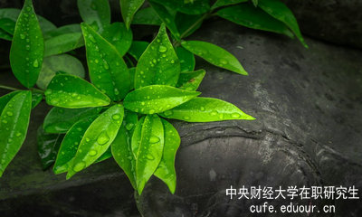 中央財經(jīng)大學(xué)同等學(xué)力申碩達到多少分才算通過(guò)考試？