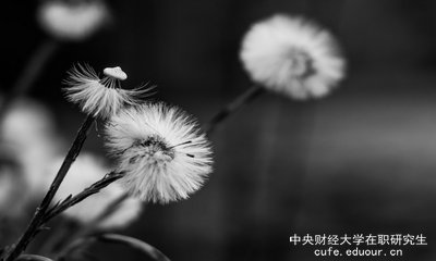 想上中央財經(jīng)大學(xué)在職研究生去哪里報名？