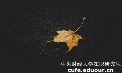 中央財經(jīng)大學(xué)在職研究生與課程研修班有哪些區別？