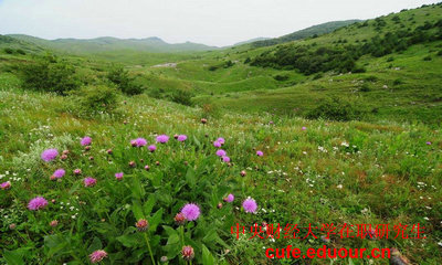 中國財經(jīng)大學(xué)在職研究生可以不考試么？